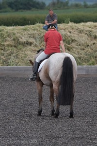 ISIS Dressage Challenge 2008